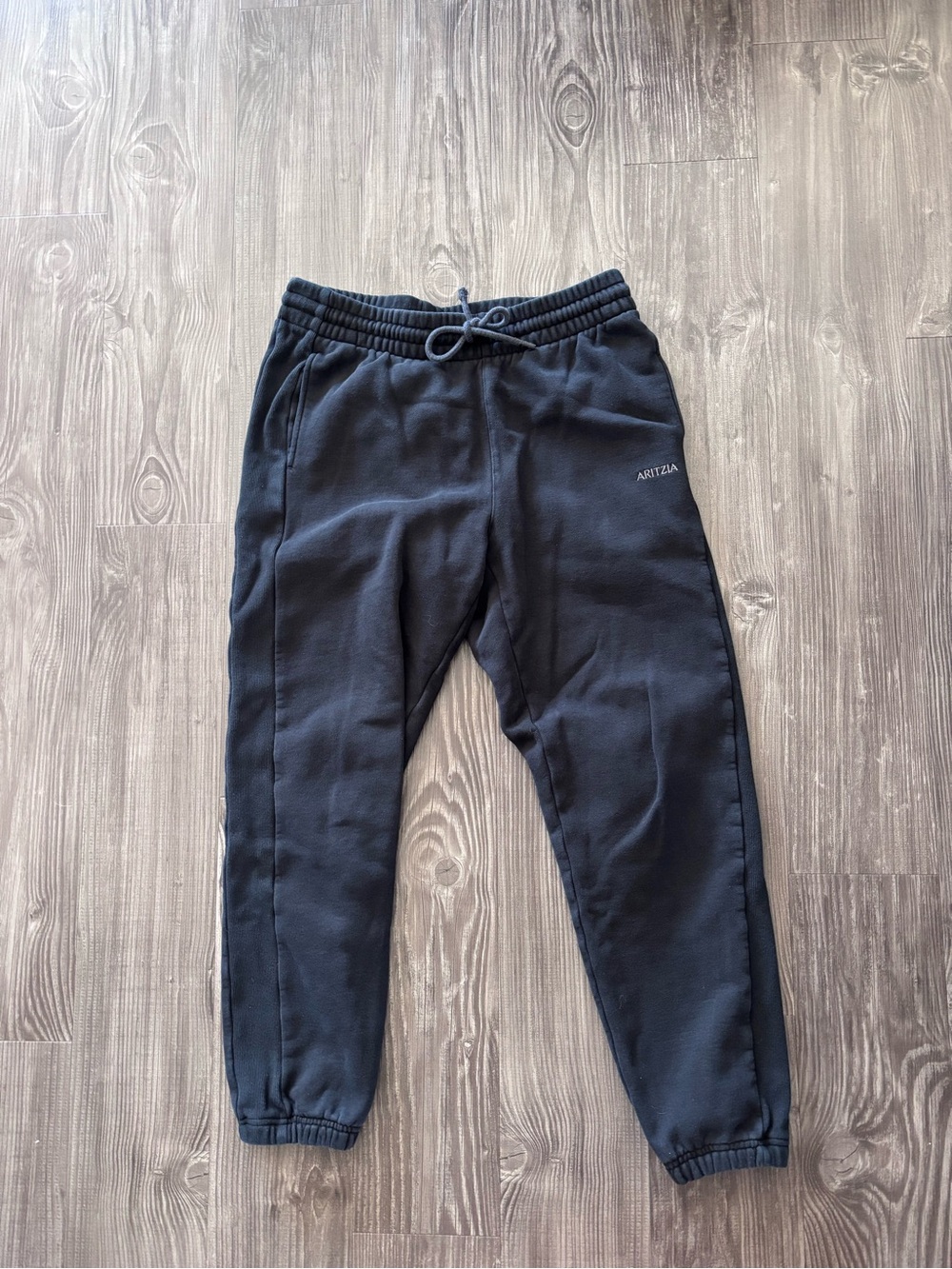 Aritzia Sweat Fleece Joggers